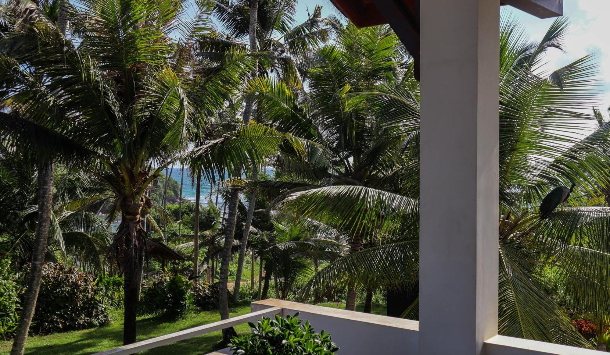Singhe House Hotel Dikwella Kültér fotó