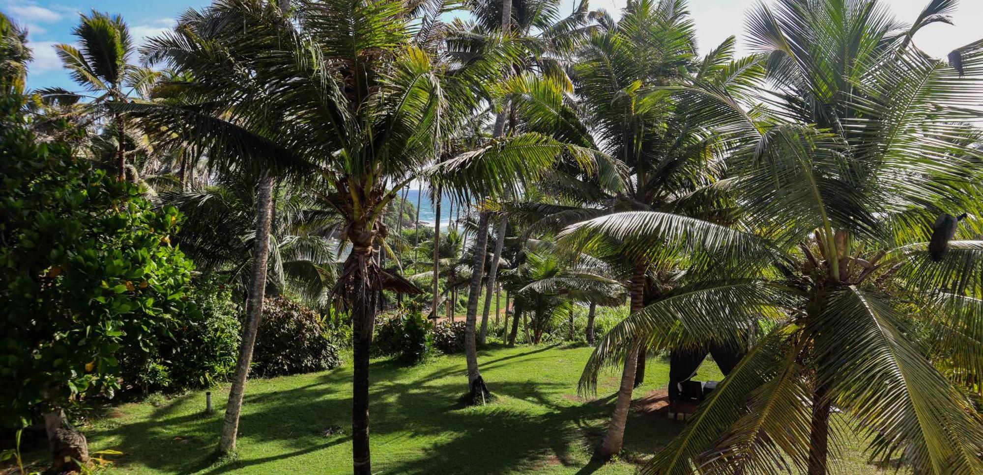 Singhe House Hotel Dikwella Kültér fotó