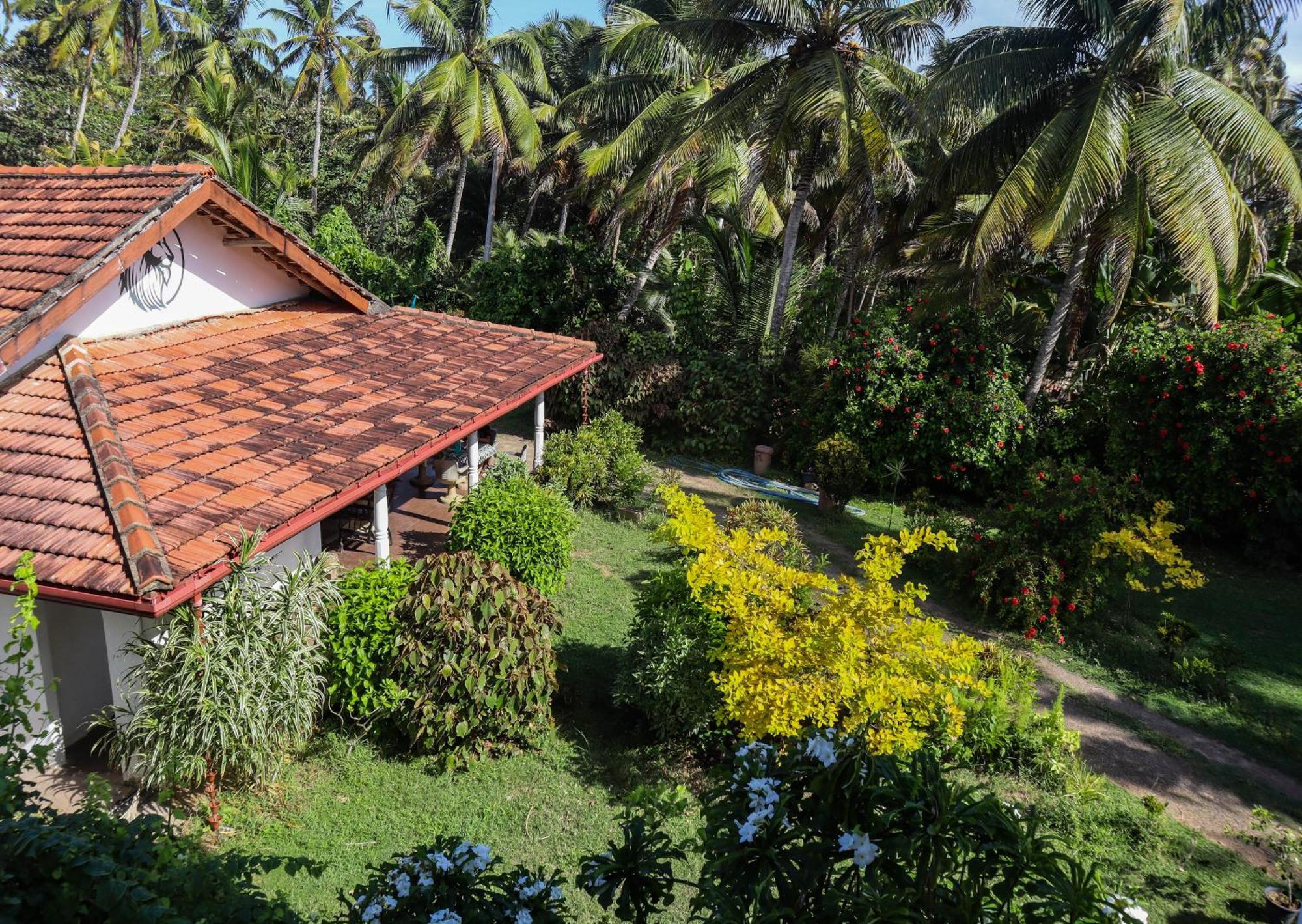 Singhe House Hotel Dikwella Kültér fotó
