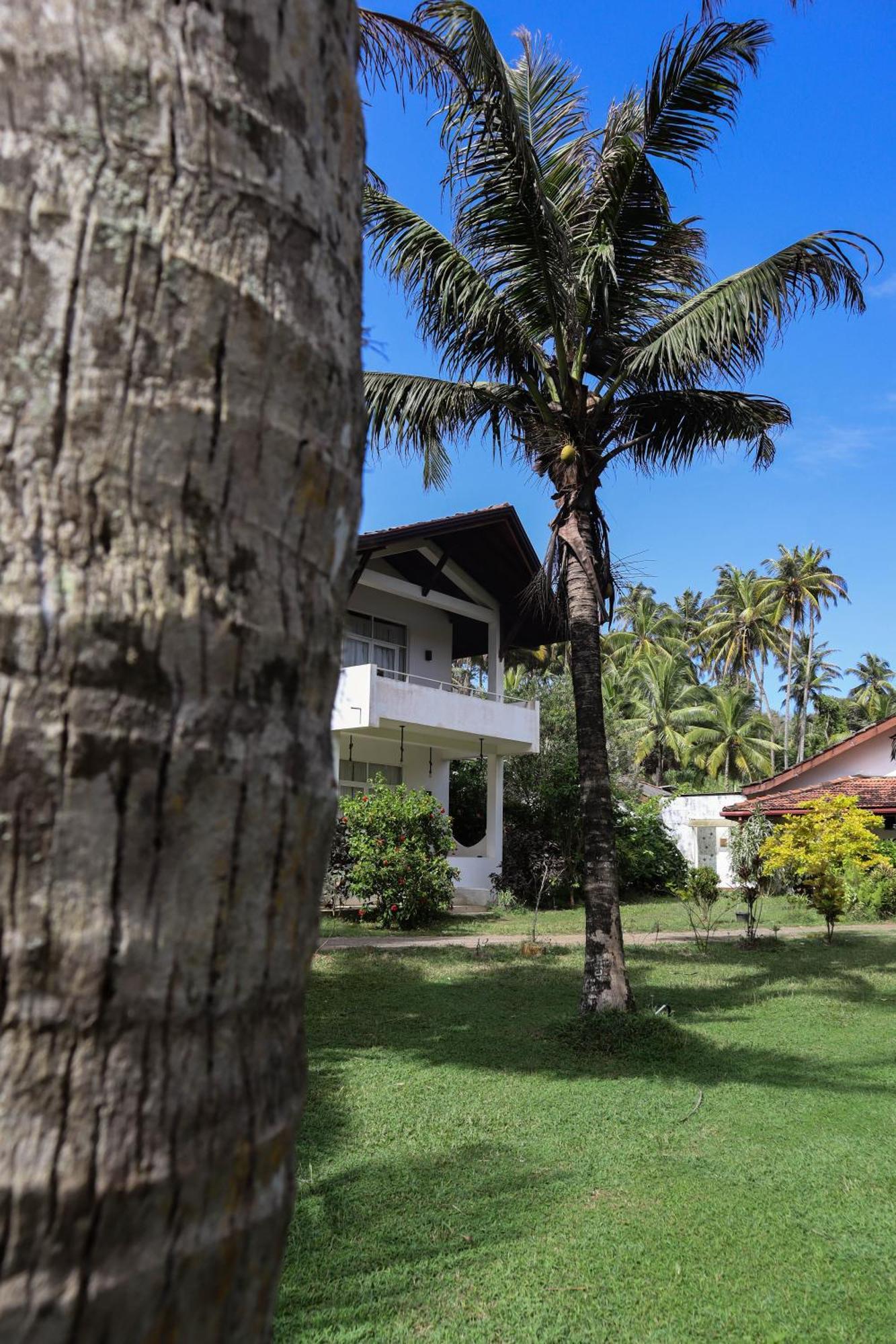 Singhe House Hotel Dikwella Kültér fotó
